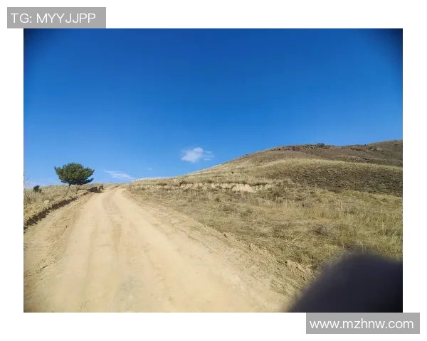 2025环山西自行车骑游大会阳曲站：骑手畅享“速度热情”